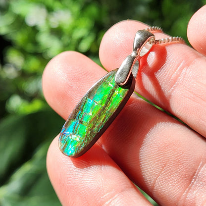 Ammolite Pendant