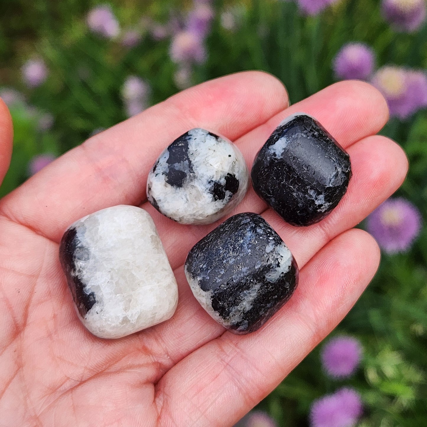 Black Tourmaline in Quartz