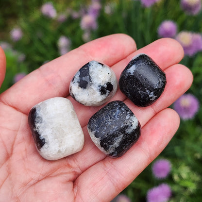 Black Tourmaline in Quartz