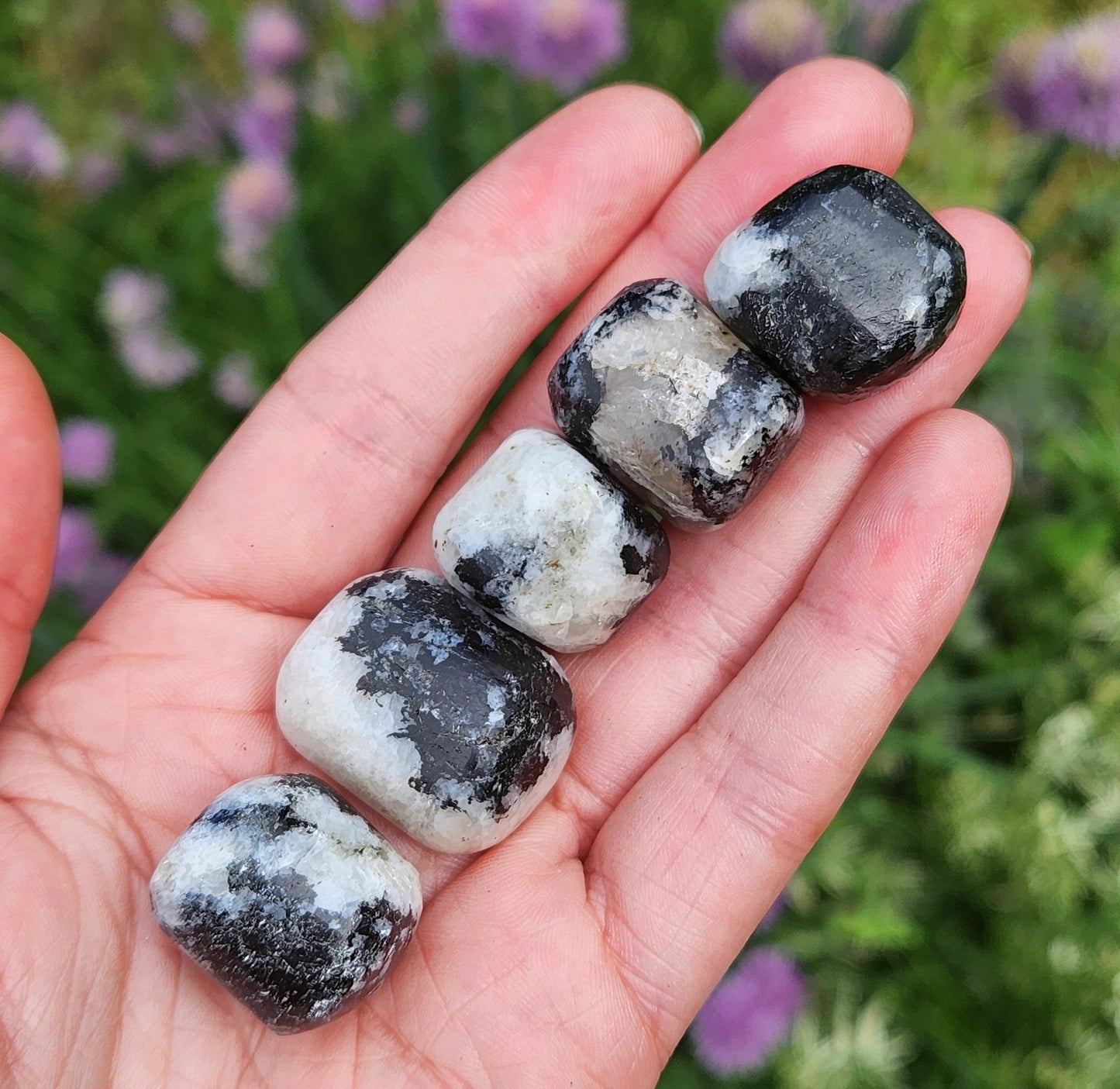 Black Tourmaline in Quartz