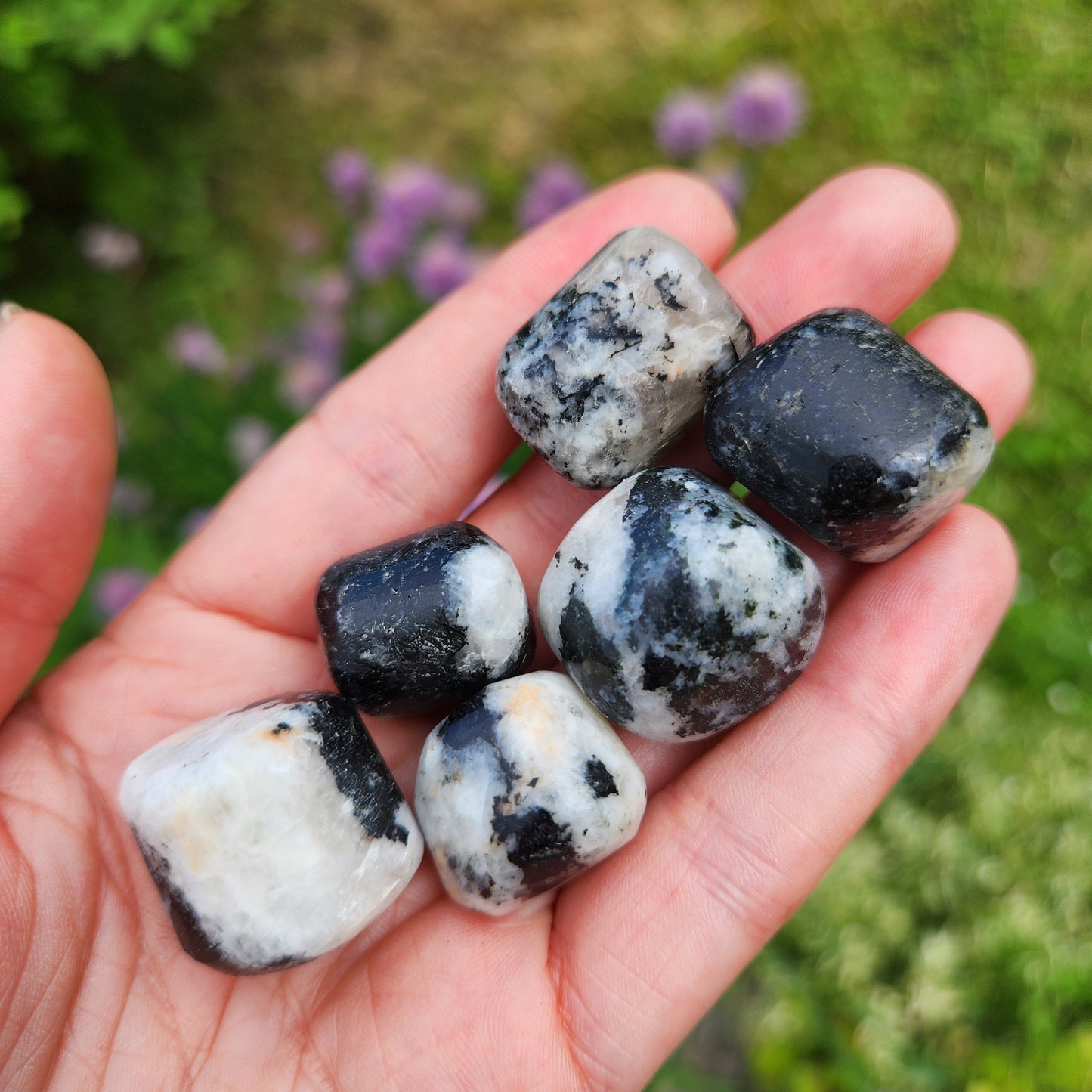 Black Tourmaline in Quartz
