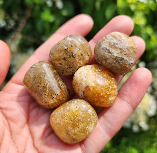Harlequin Quartz