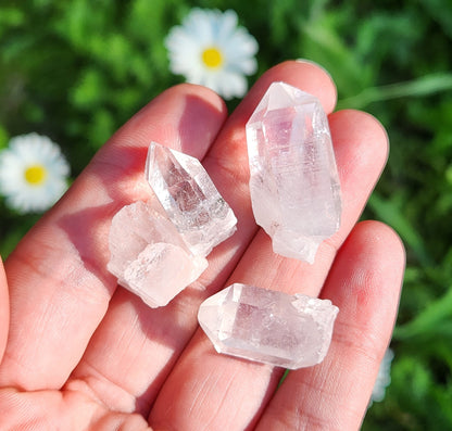 Lemurian Seed Crystal