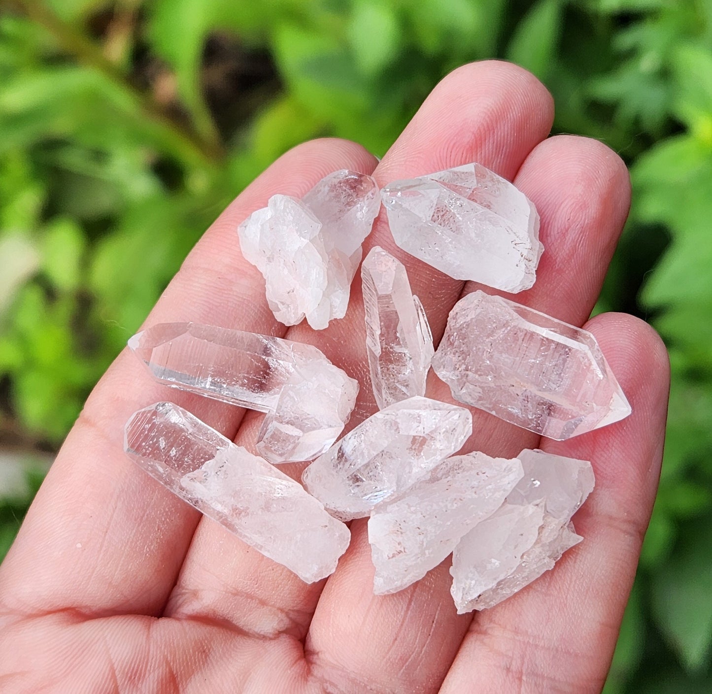 Lemurian Seed Crystal