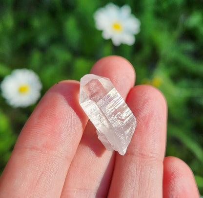 Lemurian Seed Crystal