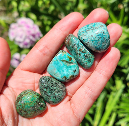 Robins Egg Turquoise