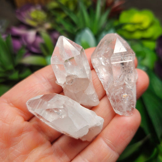 Lemurian Seed Quartz