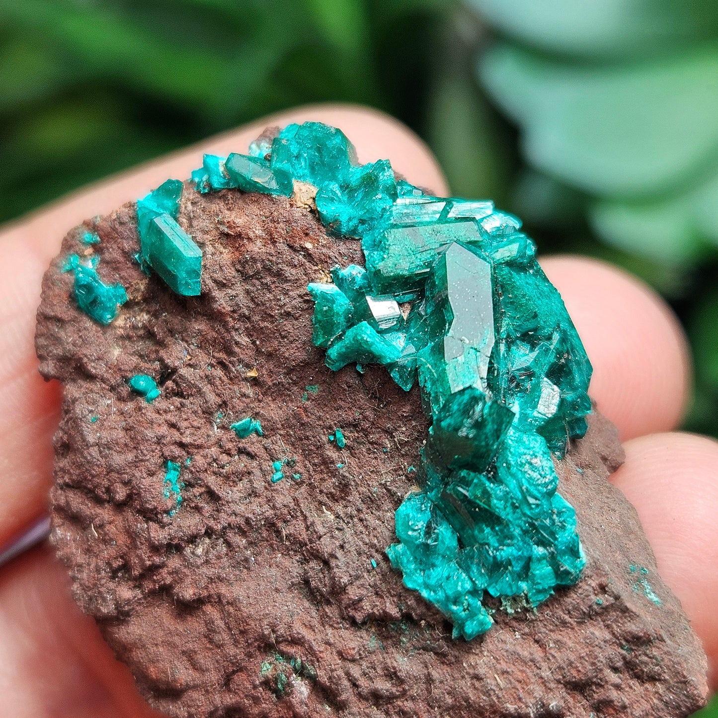 Dioptase Crystal Specimen 15.48g, Raw Congo Dioptase Stone
