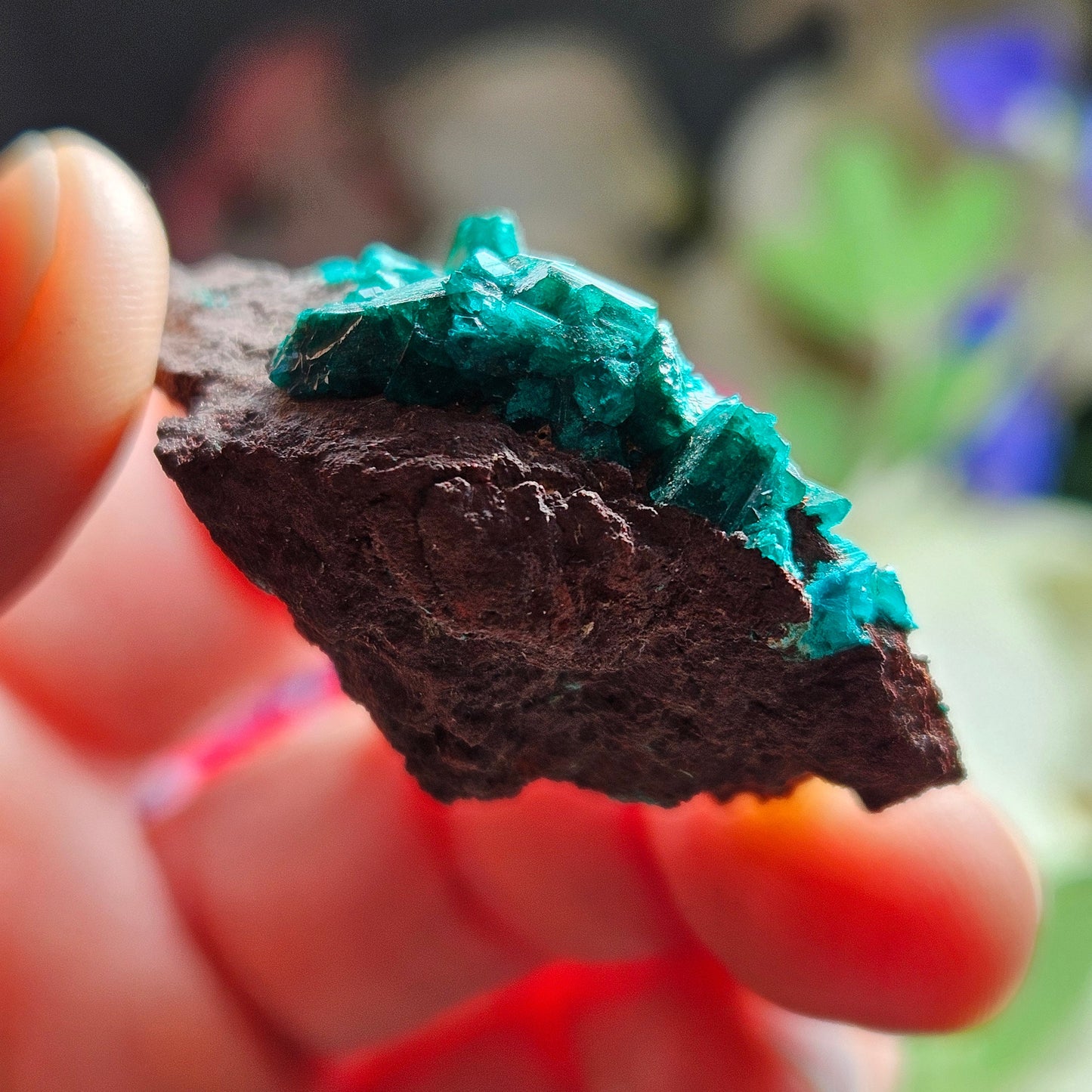 Dioptase Crystal Specimen: Raw and Natural Dioptase from the Congo