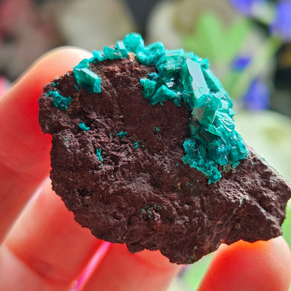 Dioptase Crystal Specimen 15.48g, Raw Congo Dioptase Stone