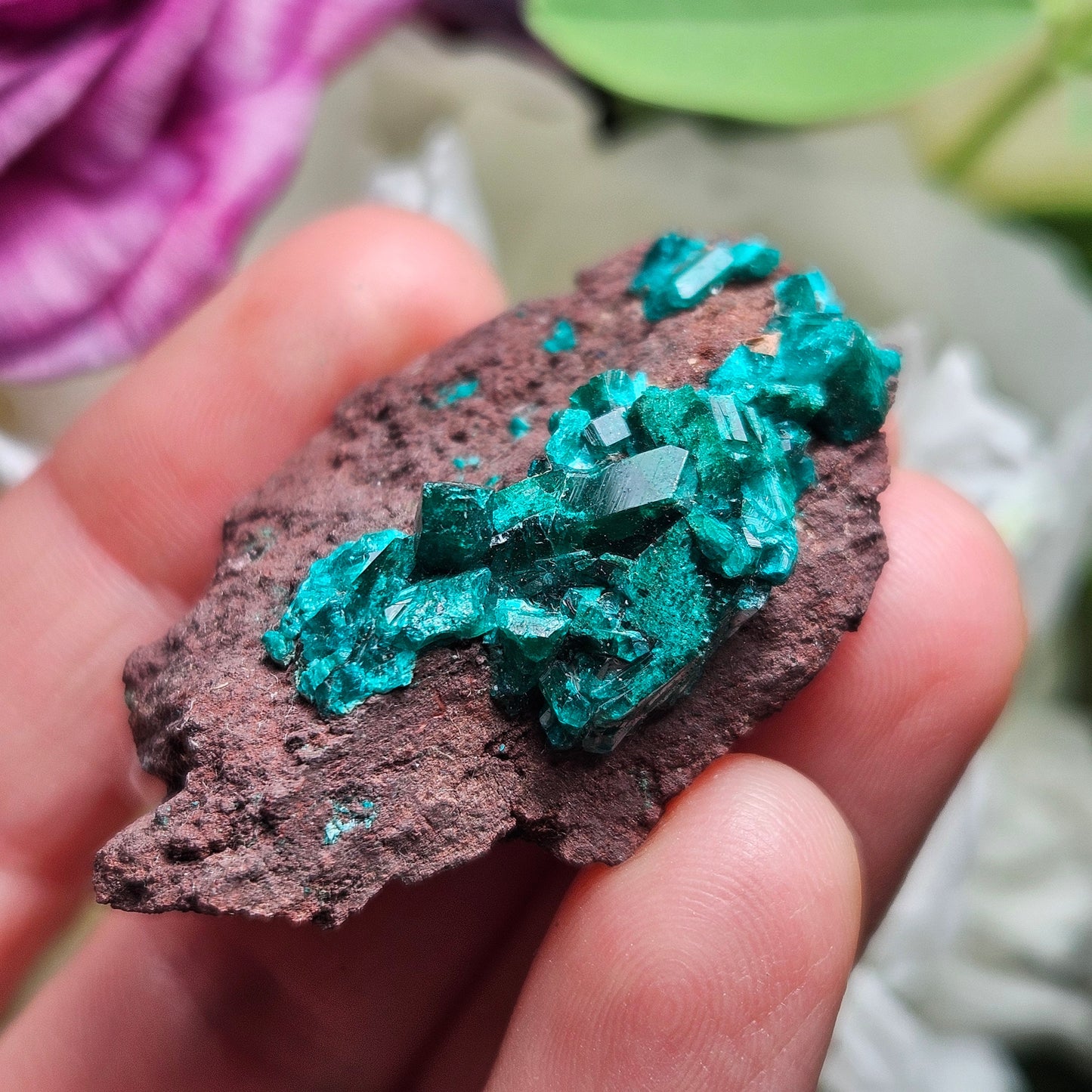 Dioptase Crystal Specimen: Raw and Natural Dioptase from the Congo