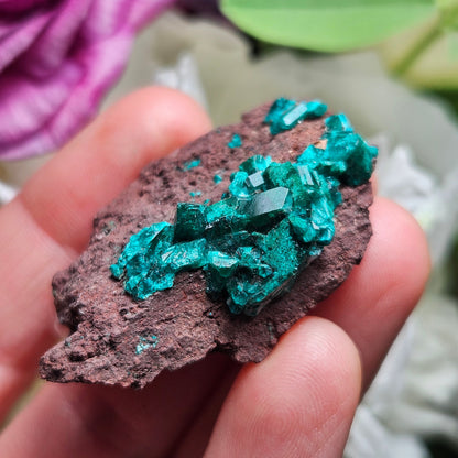 Dioptase Crystal Specimen: Raw and Natural Dioptase from the Congo