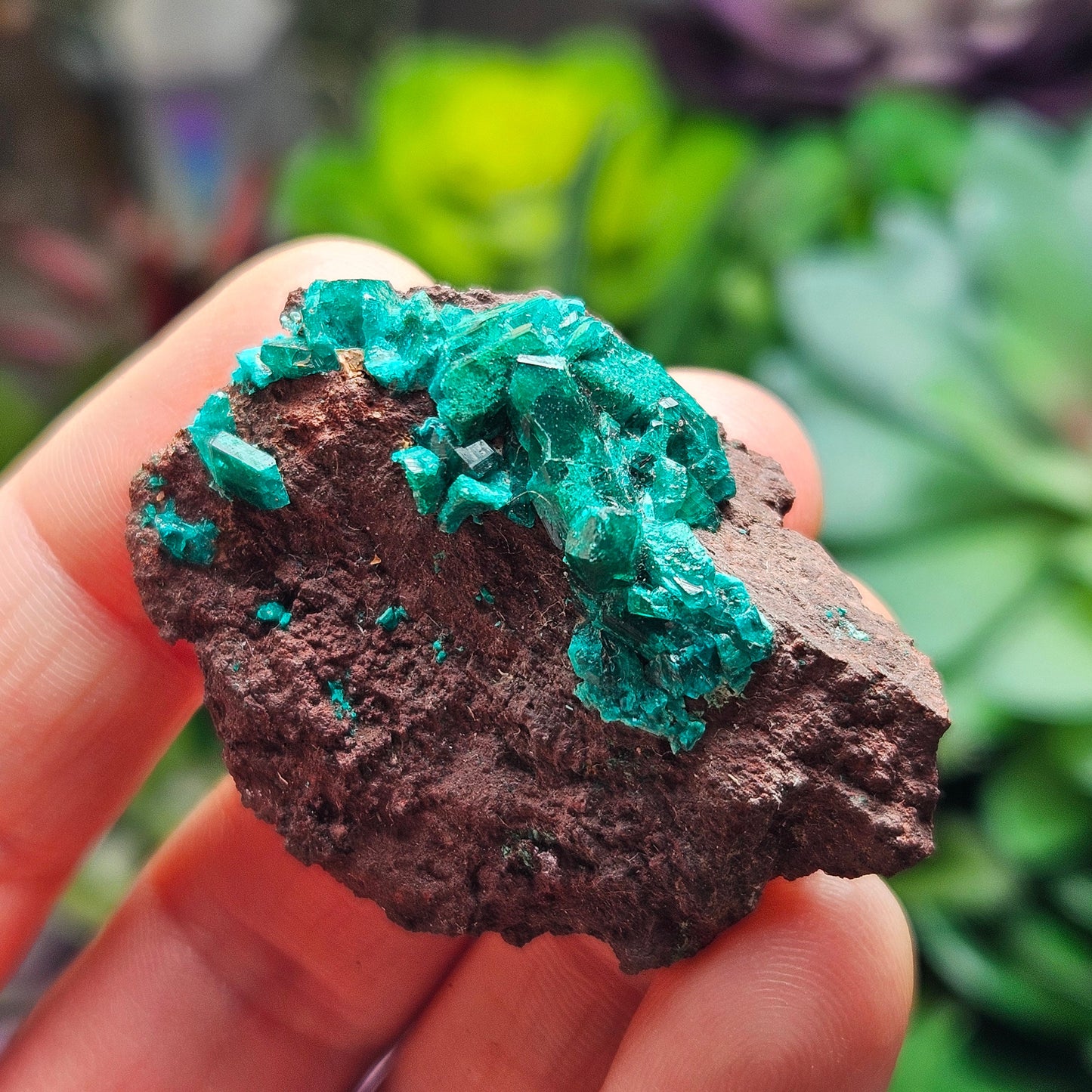 Dioptase Crystal Specimen 15.48g, Raw Congo Dioptase Stone
