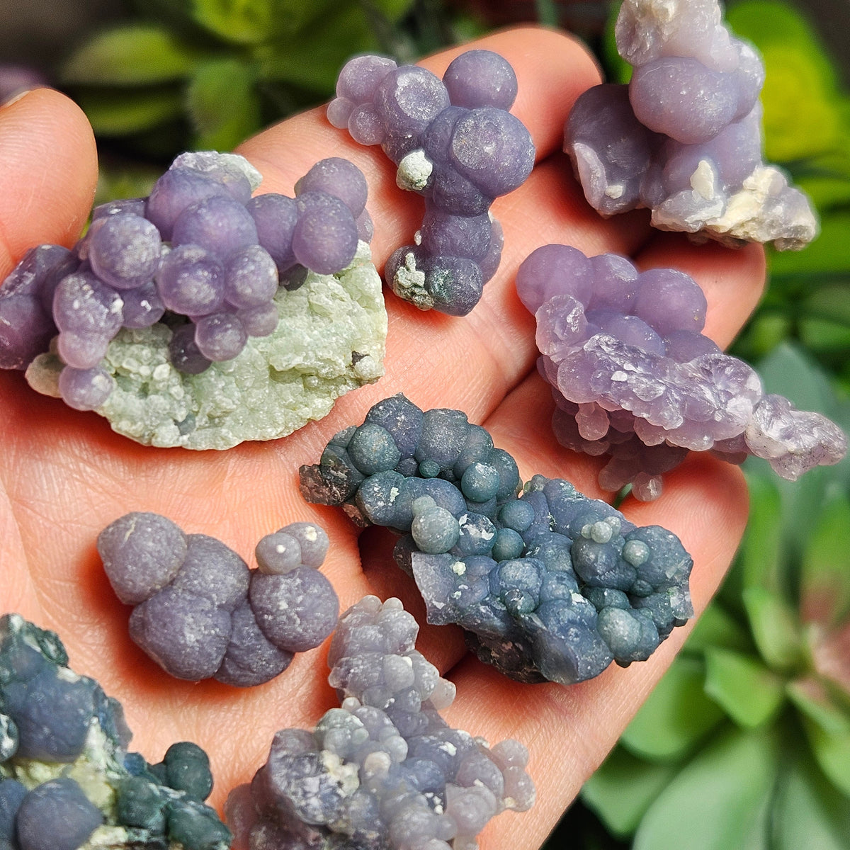 Grape Agate Crystal Cluster