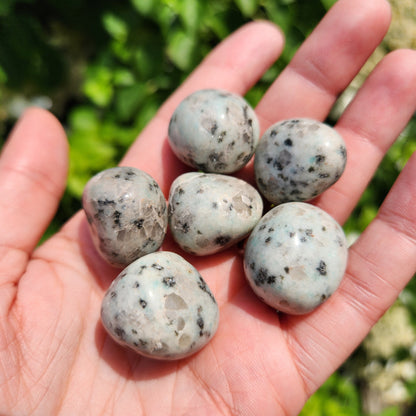 Kiwi Jasper Crystal