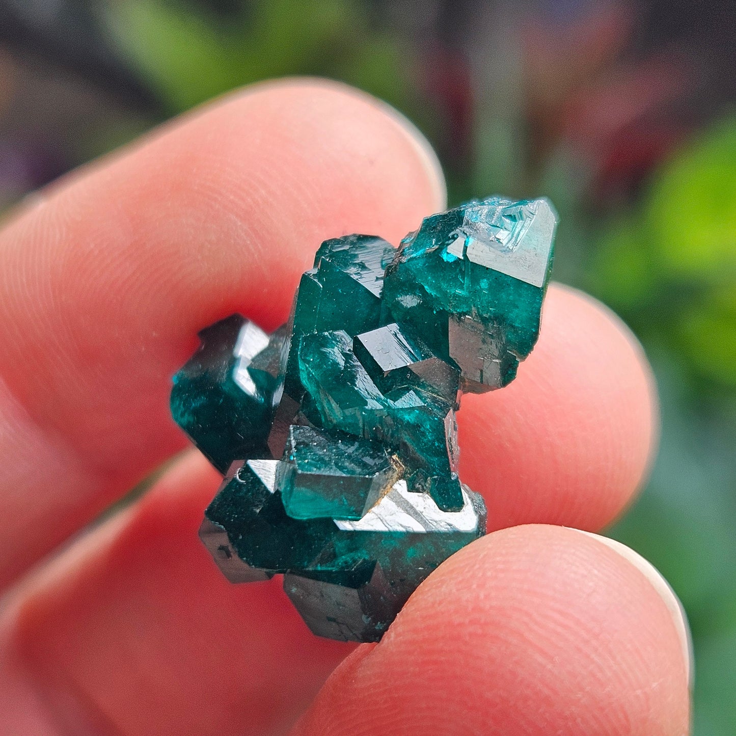Dioptase Crystal