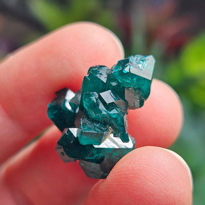 Dioptase Crystal