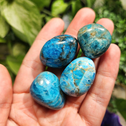 Blue Apatite Crystal