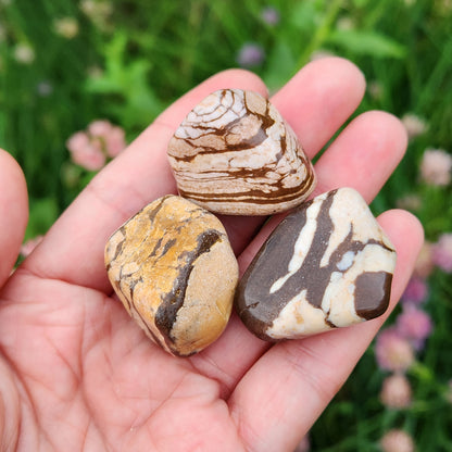Red Zebra Jasper