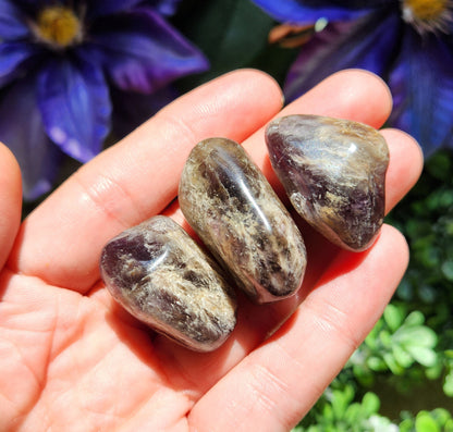 Black Amethyst Crystal