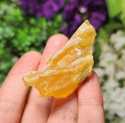 XL Natural Amber Specimen