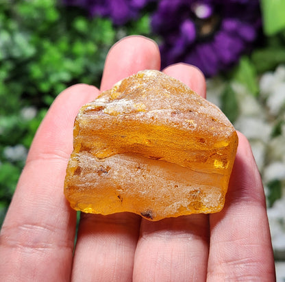 XL Natural Amber Specimen