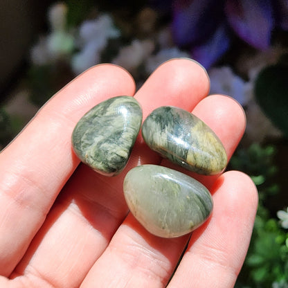 Silver Leaf Jasper Crystal