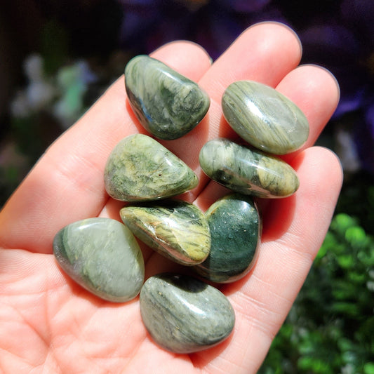 Silver Leaf Jasper Crystal