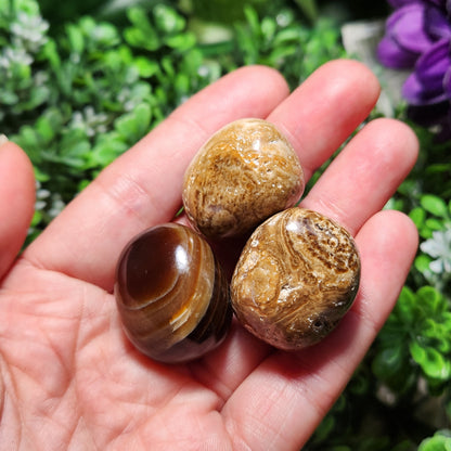 Chocolate Calcite