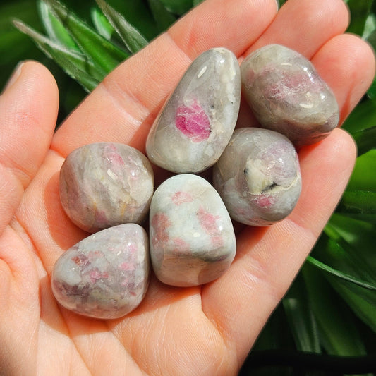 Unicorn Stone