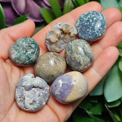 Grape Agate MISFITS