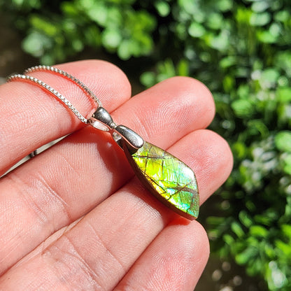 Ammolite Pendant