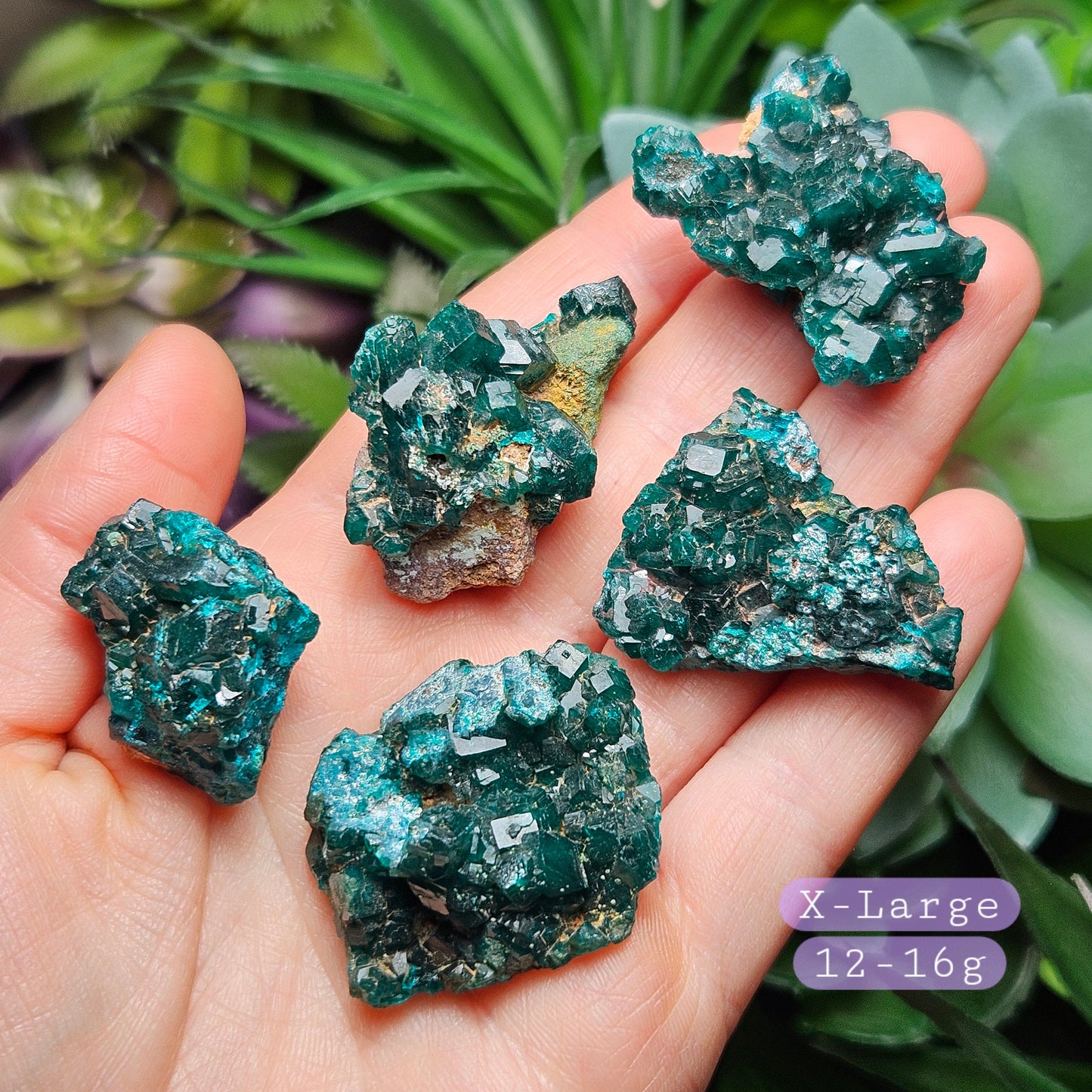 Dioptase Crystal
