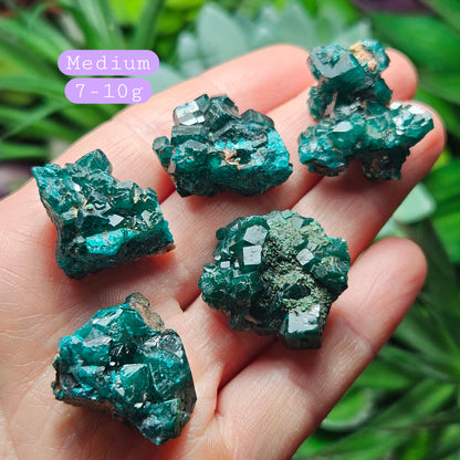 Dioptase Crystal