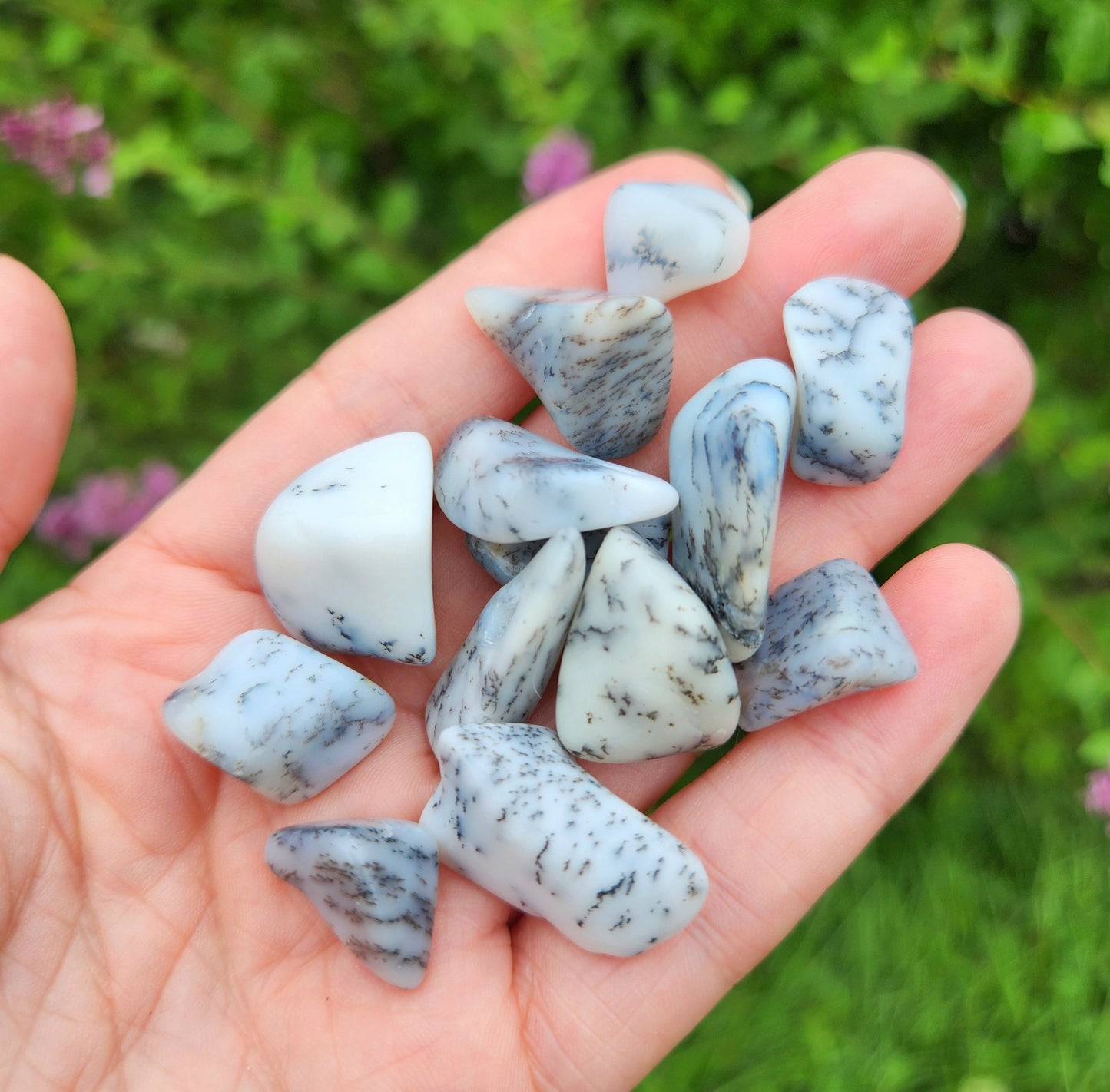 Dendritic Opal Crystal