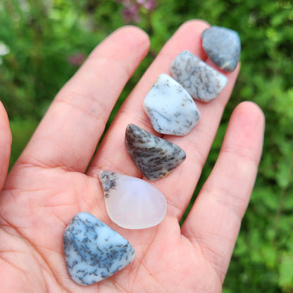 Dendritic Opal Crystal