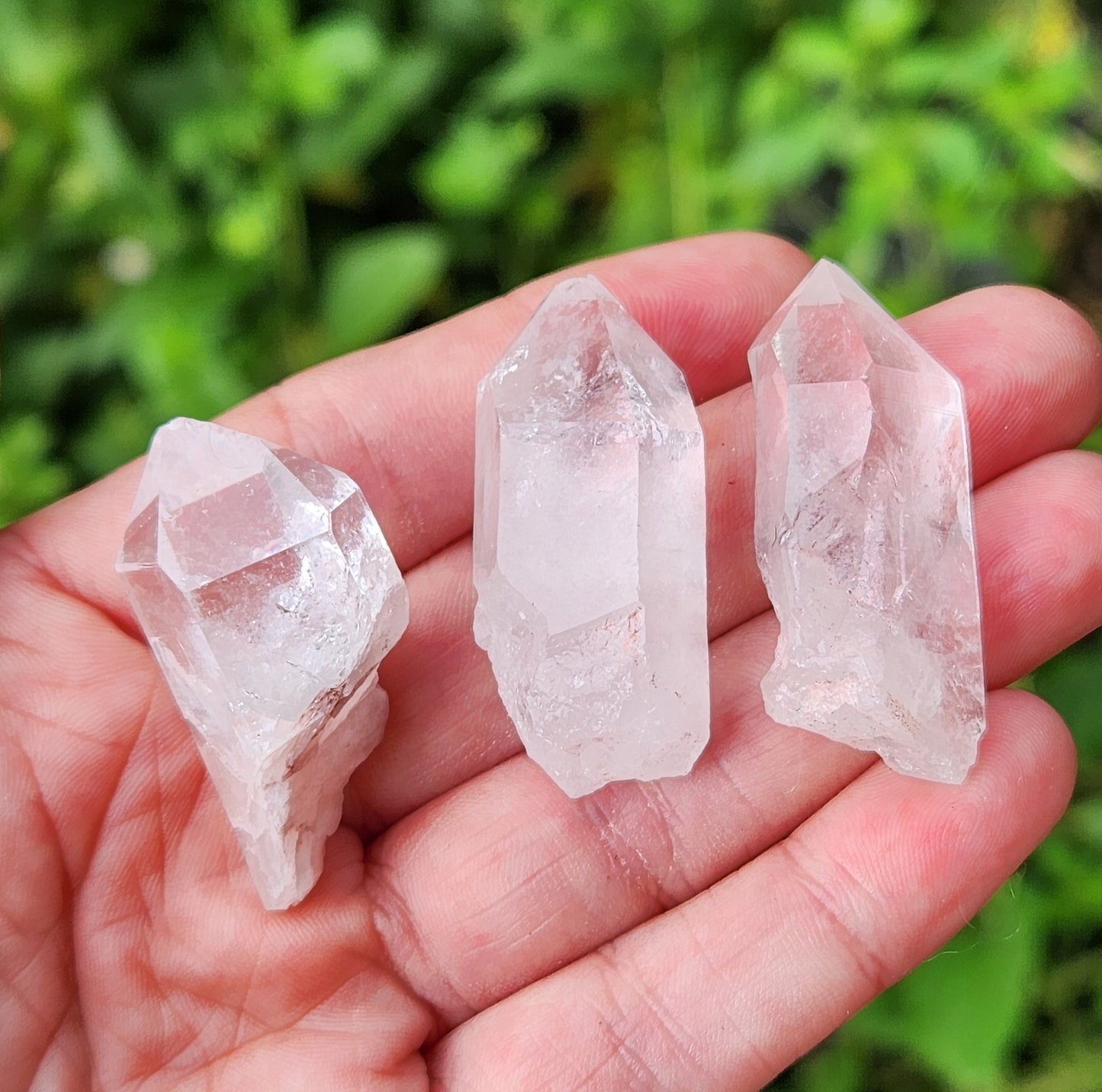 Lemurian Seed Quartz