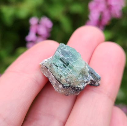 Green Tourmaline Crystal