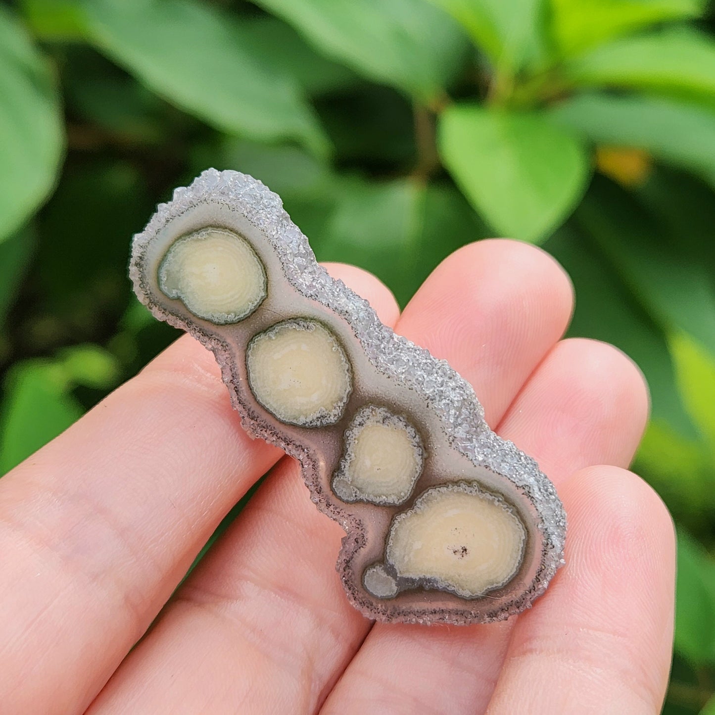 Amethyst Stalactite Slice