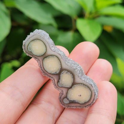 Amethyst Stalactite Slice