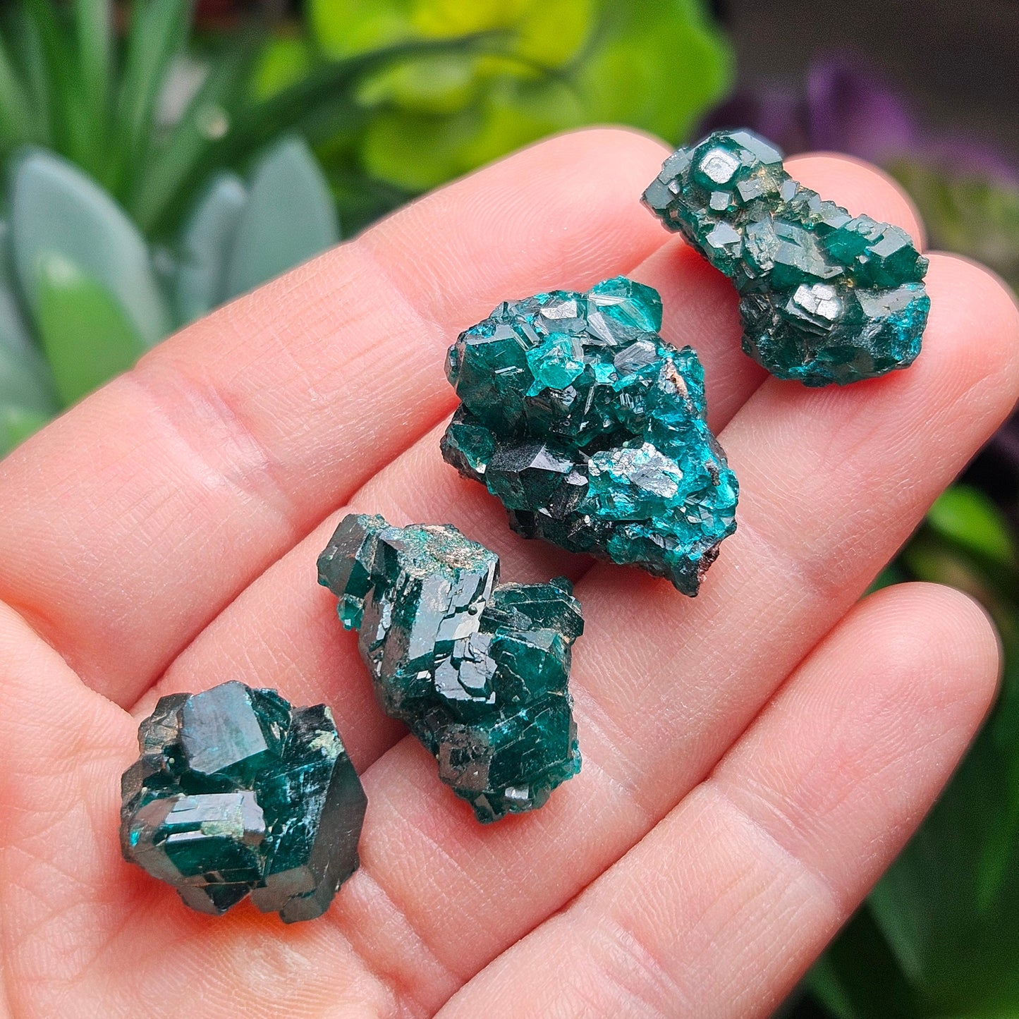 Dioptase Crystal