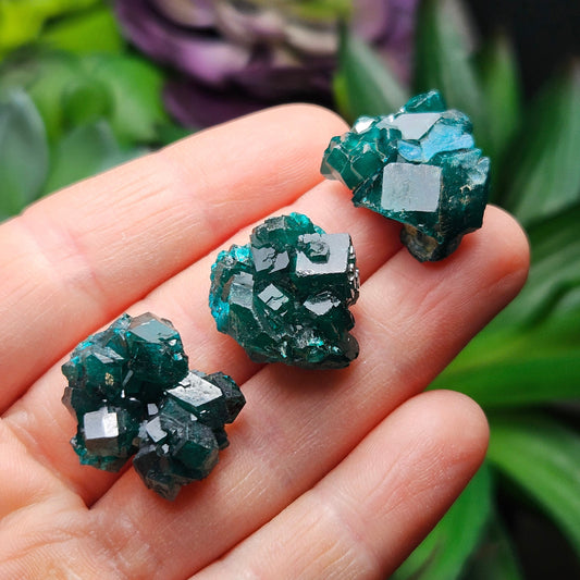 AAA Dioptase Crystal