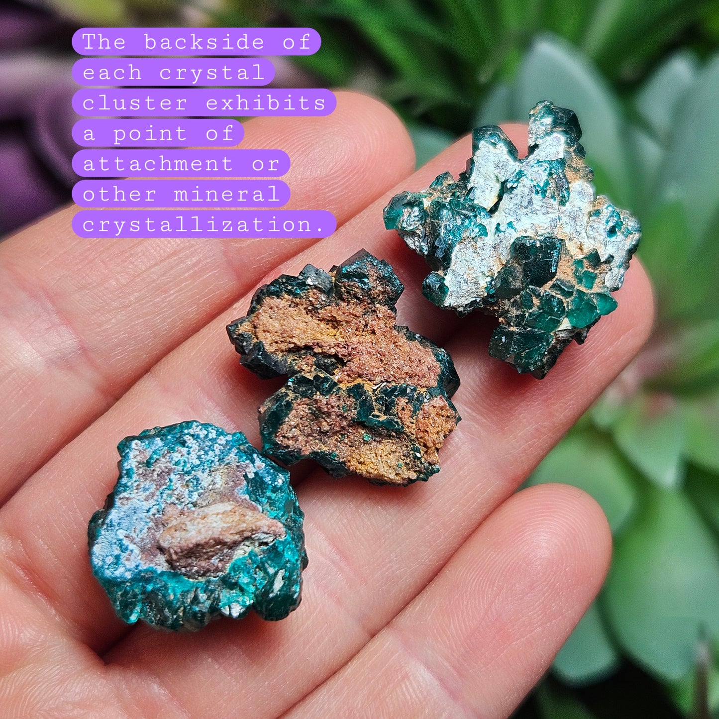 Dioptase Crystal