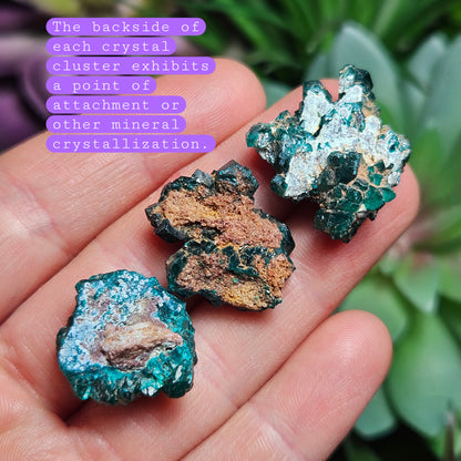 Dioptase Crystal