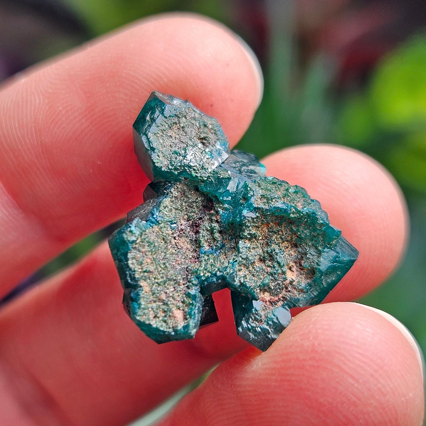 Dioptase Crystal