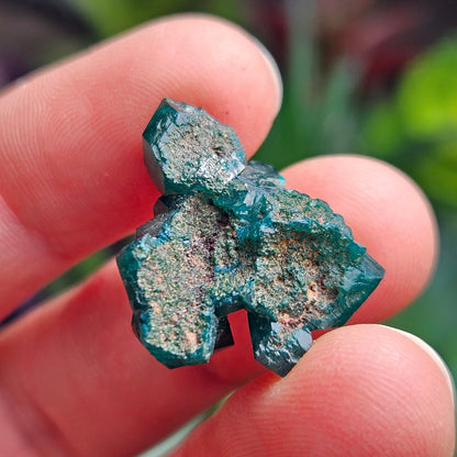 Dioptase Crystal