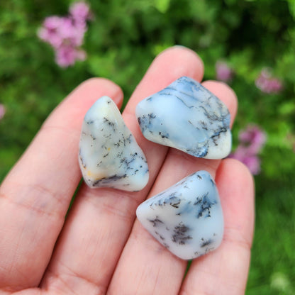 Dendritic Opal Crystal