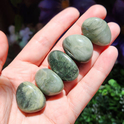 Silver Leaf Jasper Crystal
