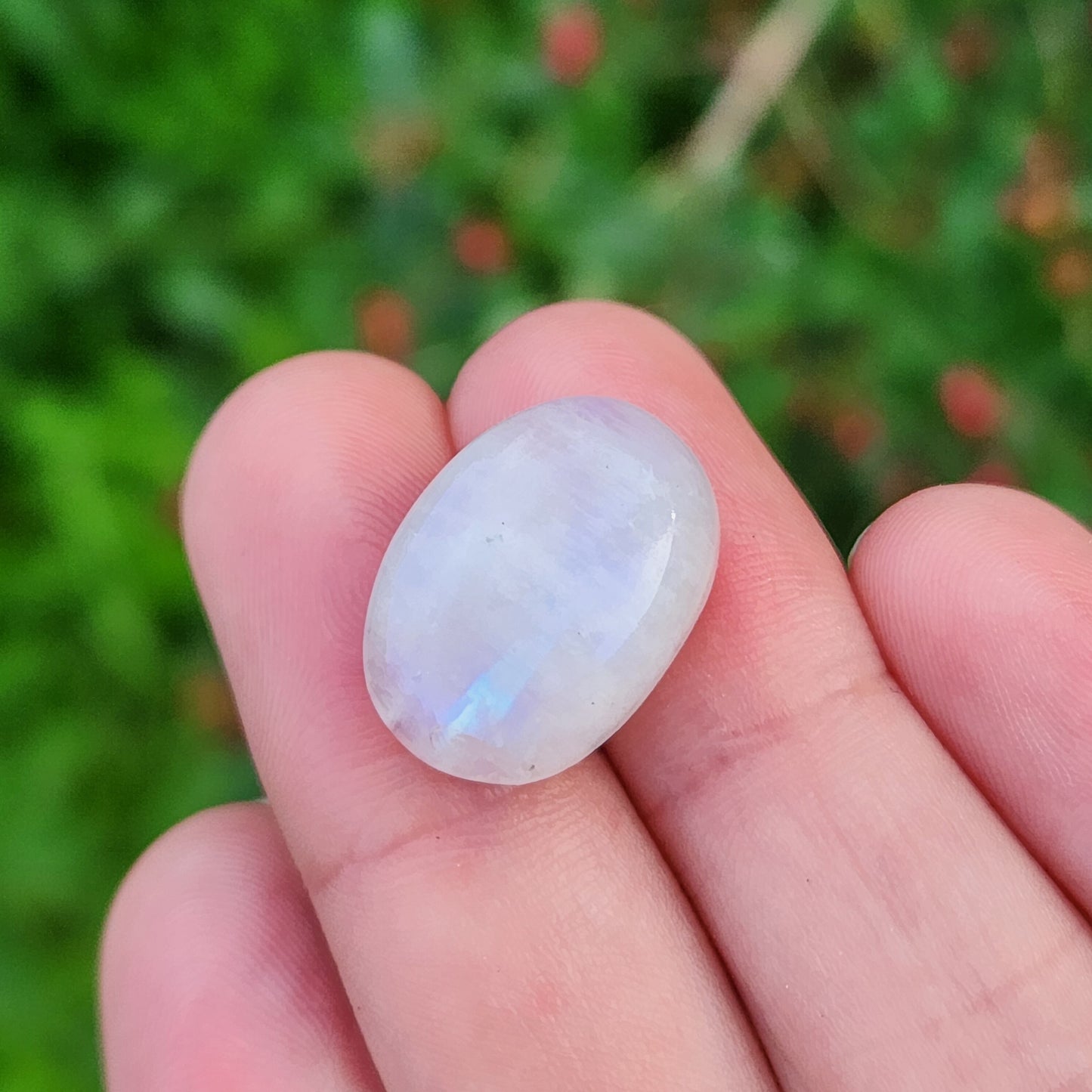 Rainbow Moonstone