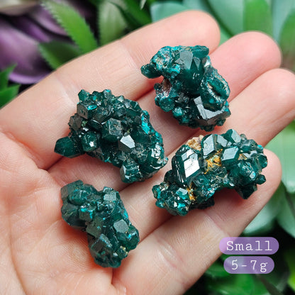 Dioptase Crystal